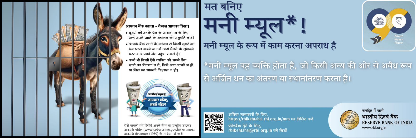 money_mule_rbi.png